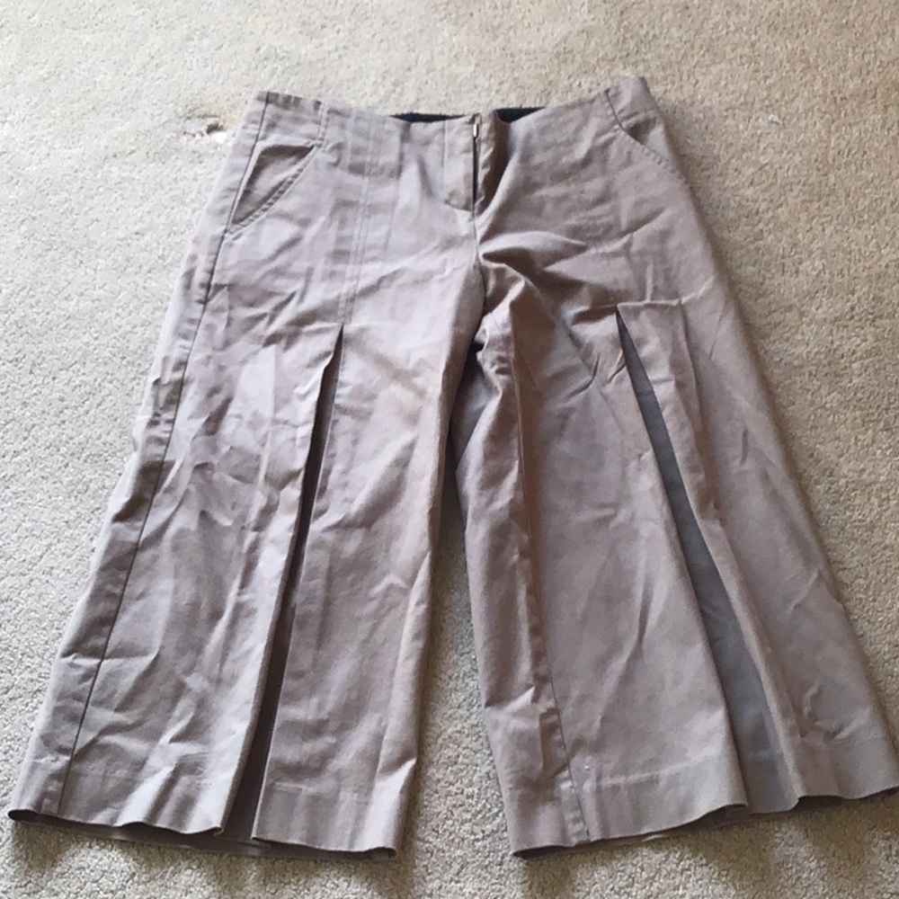 Anthropologie wide leg crop pant